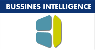 BUSINESS INTELLIGENCE