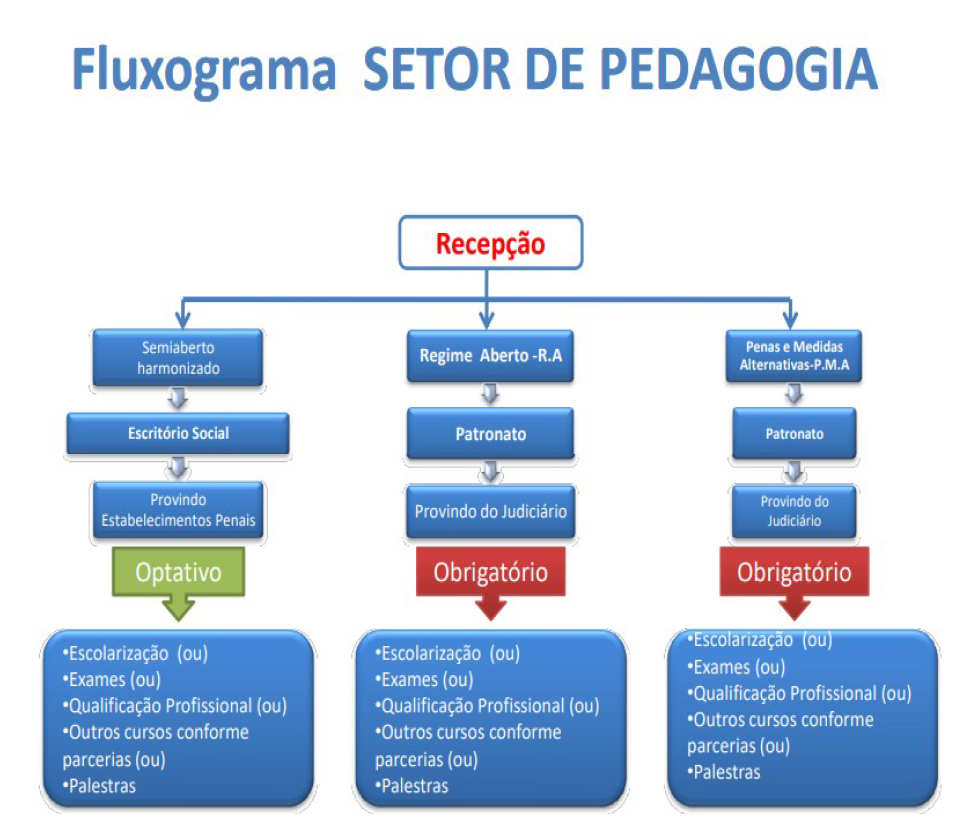 Fluxograma das atividades do Setor de Pedagogia 