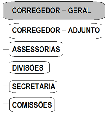 estrutura organizacional 