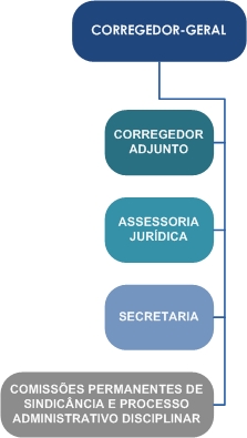 Estrutura Organizacional