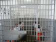206 pessoas privadas de liberdade de Londrina participam do vestibular da UEL