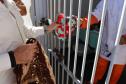 Secretário Hudson faz visita técnica em duas unidades prisionais no interior do Estado