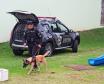 Em parceria com a Secretaria Municipal de Educação, Polícia Penal auxilia em projeto educativo sobre fauna em CMEIs de Maringá