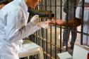 Foto: Polícia Penal do Paraná