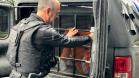 Polícia Penal do Paraná