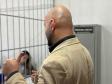 Polícia Penal do Paraná