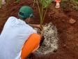 Capacitação em jardinagem prepara pessoas privadas de liberdade para o mercado de trabalho em Cascavel