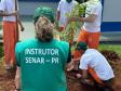 Capacitação em jardinagem prepara pessoas privadas de liberdade para o mercado de trabalho em Cascavel
