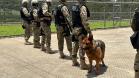 Polícia Penal do Paraná