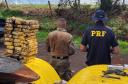 Polícia Penal do Paraná