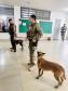Polícia Penal do Paraná