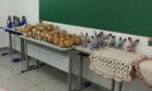 Polícia Penal do Paraná
