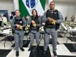 Polícia Penal do Paraná