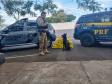 Polícia Penal do Paraná