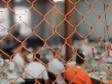 Curso de Costura Industrial qualifica pessoas privadas de liberdade na Penitenciária Estadual de Londrina