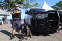 Cães da Polícia Penal reforçam segurança no Litoral durante o Verão Maior Paraná