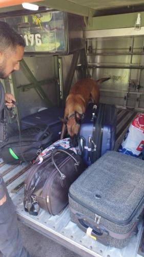 Polícia Penal do Paraná apresenta resultados da participação na Operação Safra Segura