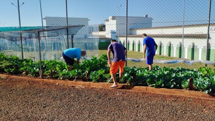 Foto: Polícia Penal do Paraná