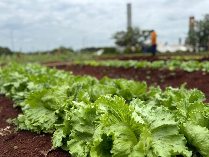 Polícia Penal do Paraná