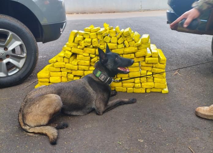 Polícia Penal do Paraná