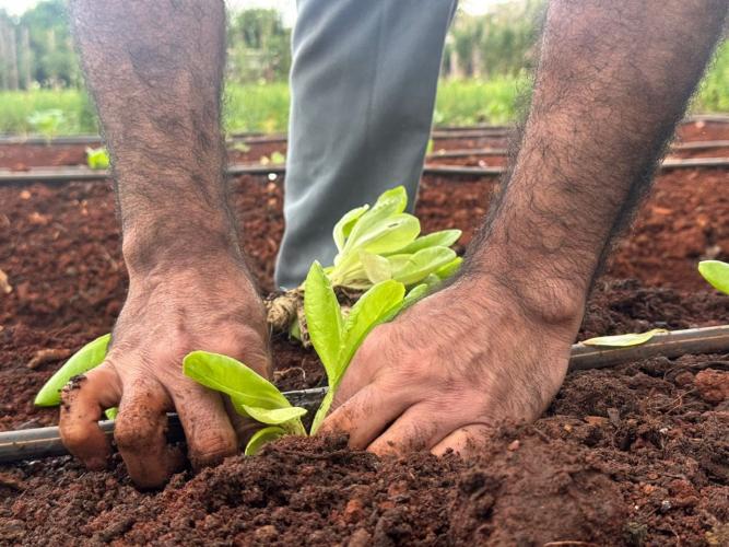 Polícia Penal do Paraná