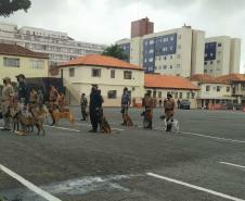 Policial Penal participa de treinamento com cães ofertado pela PM