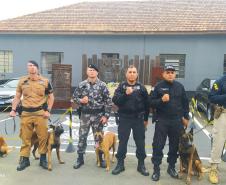 Policial Penal participa de treinamento com cães ofertado pela PM