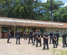 Equipe de Monitoração Eletrônica do Paraná realiza semana de alinhamento administrativo e procedimentos operacionais