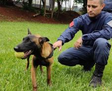 Polícia Penal participa de Formação de Condutores de Cães de Polícia em Londrina