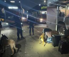 Cães policiais de Londrina participam de operação em conjunto com a PRE