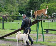 1ª Cãominhada das Forças Policiais movimentará São José dos Pinhais neste domingo