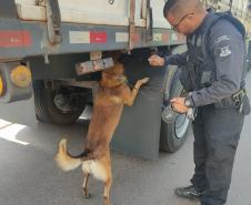 Polícia Penal do Paraná