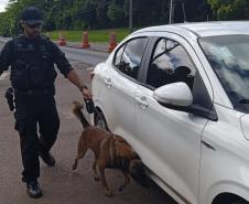 Polícia Penal do Paraná