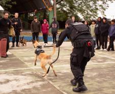 Polícia Penal do Paraná