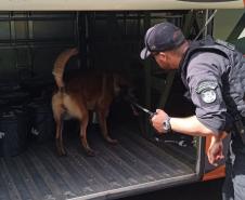 Polícia Penal do Paraná