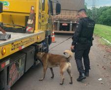 Polícia Penal do Paraná