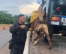 Polícia Penal do Paraná