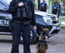 Polícia Penal do Paraná