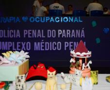 Programa de Terapia Ocupacional auxilia no desenvolvimento de apenados do Complexo Médico Penal, em Pinhais