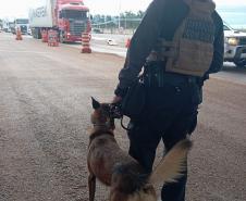 Polícia Penal do Paraná