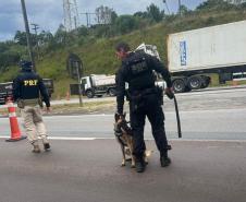 Polícia Penal do Paraná