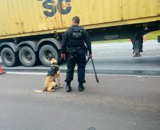 Polícia Penal do Paraná