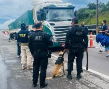 Polícia Penal do Paraná