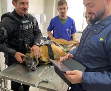 Polícia Penal do Paraná