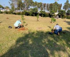 150 árvores frutíferas são plantadas em Unidade de Progressão de Ponta Grossa