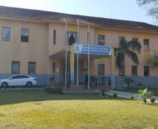 150 árvores frutíferas são plantadas em Unidade de Progressão de Ponta Grossa