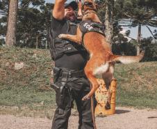 Polícia Penal do Paraná presta homenagem a Kira, primeira K-9 da instituição