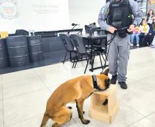 Polícia Penal do Paraná