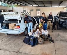 Polícia Penal do Paraná