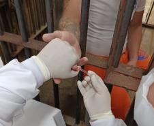 Polícia Penal do Paraná